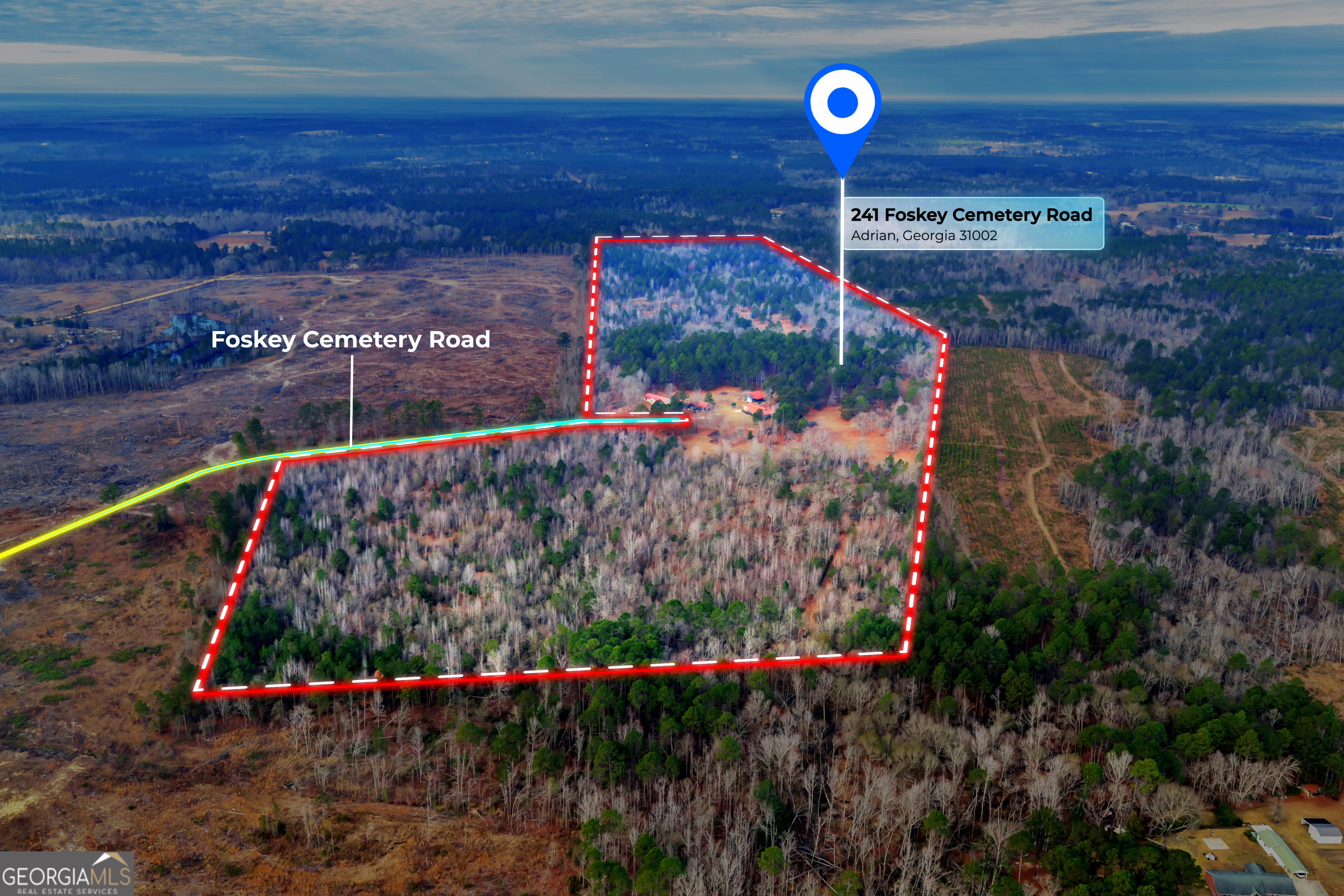 241 Foskey Cemetery Road Adrian, GA 31002 - Photo 2 of 95
