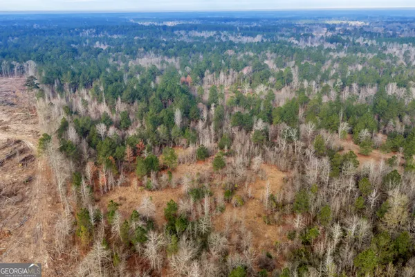 $945,000 | 241 Foskey Cemetery Road, Adrian, GA 31002