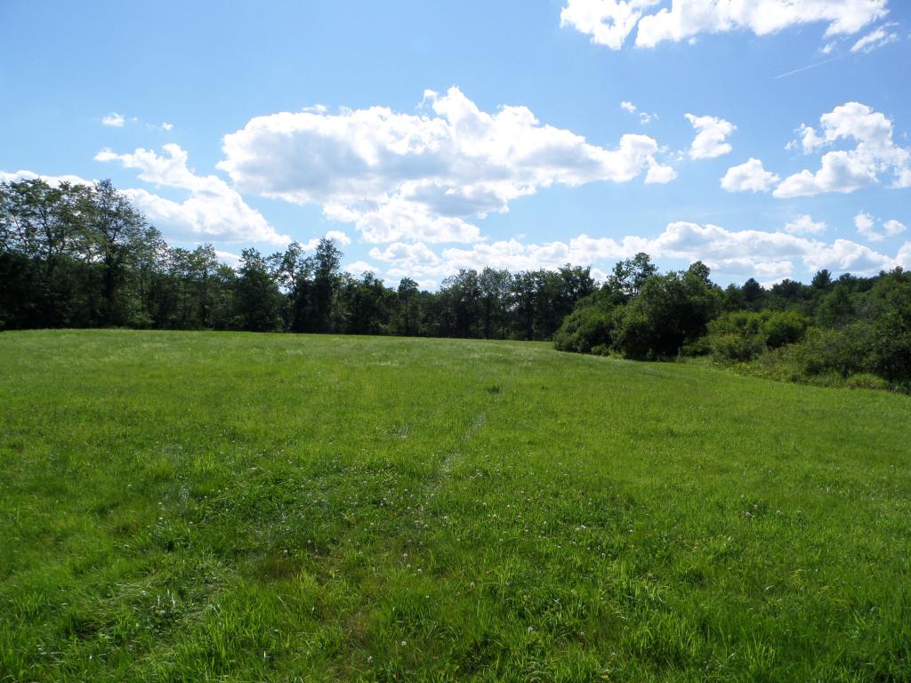0 Jeffers Hill Road Pike, NH 03780 - Photo 7 of 8 Gallery Image 7