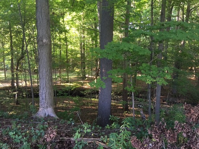 2202 Pleasant Valley Road Vienna, OH 44473 - Photo 26 of 30 Gallery Image 26