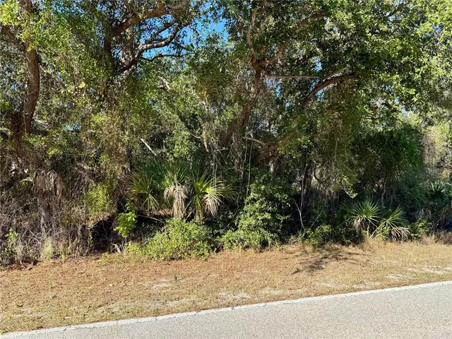 a view of a yard with plants and trees
