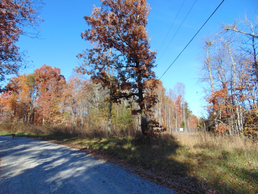 0 Raccoon Ridge Road Spring City, TN 37381 - Photo 44 of 70