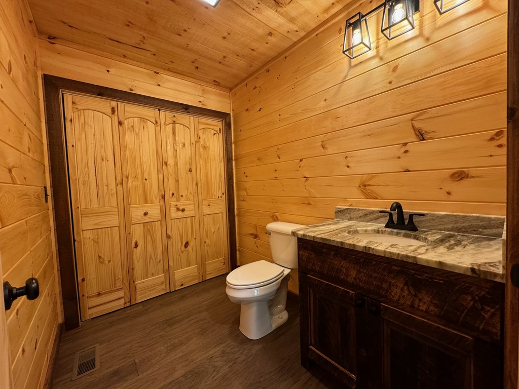 357 River Retreat Road Blue Ridge, GA 30513 - Photo 20 of 55 Gallery Image 20
