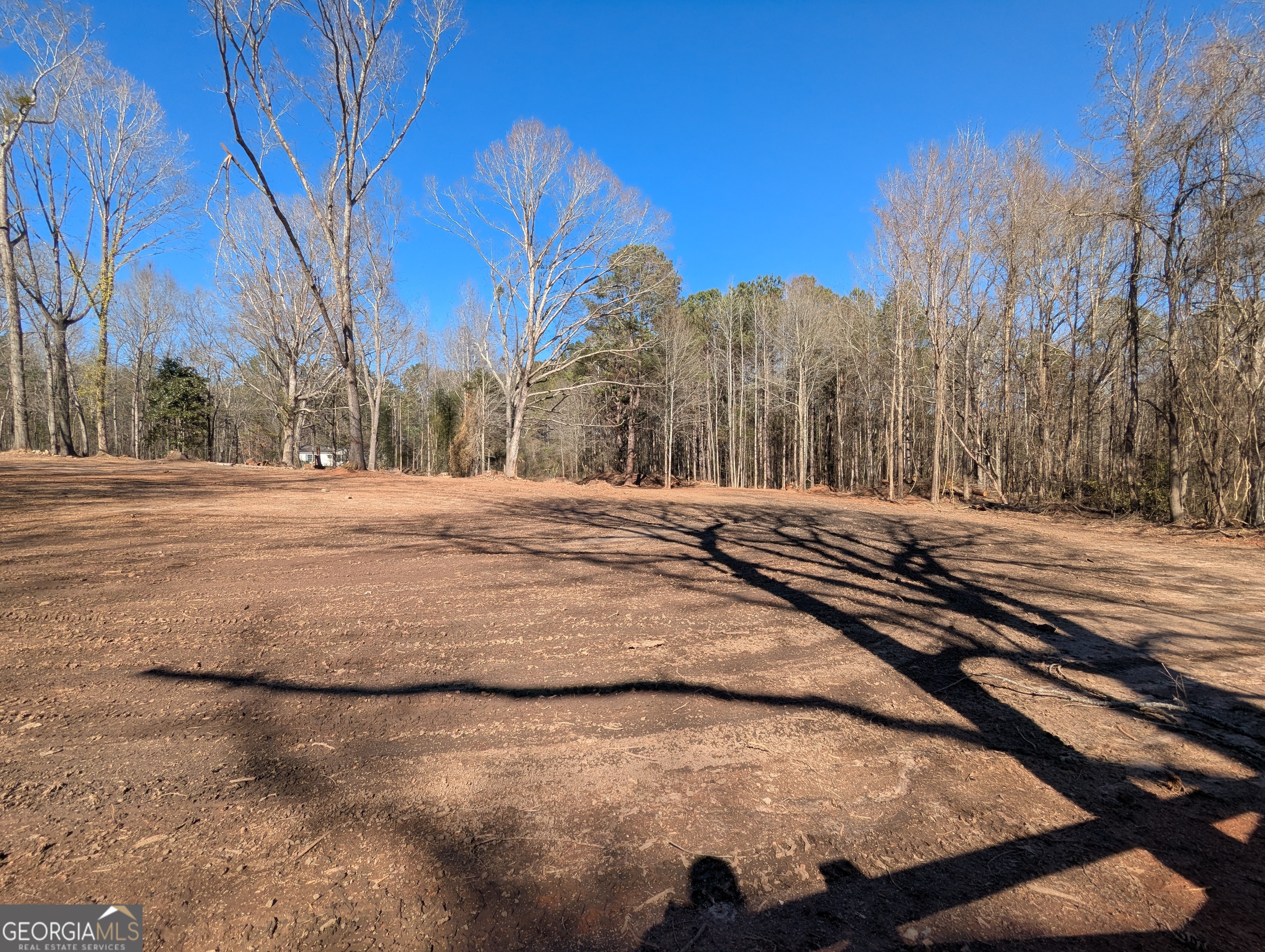 2067 Threadgill Road Greenville, GA 30222 - Photo 9 of 20