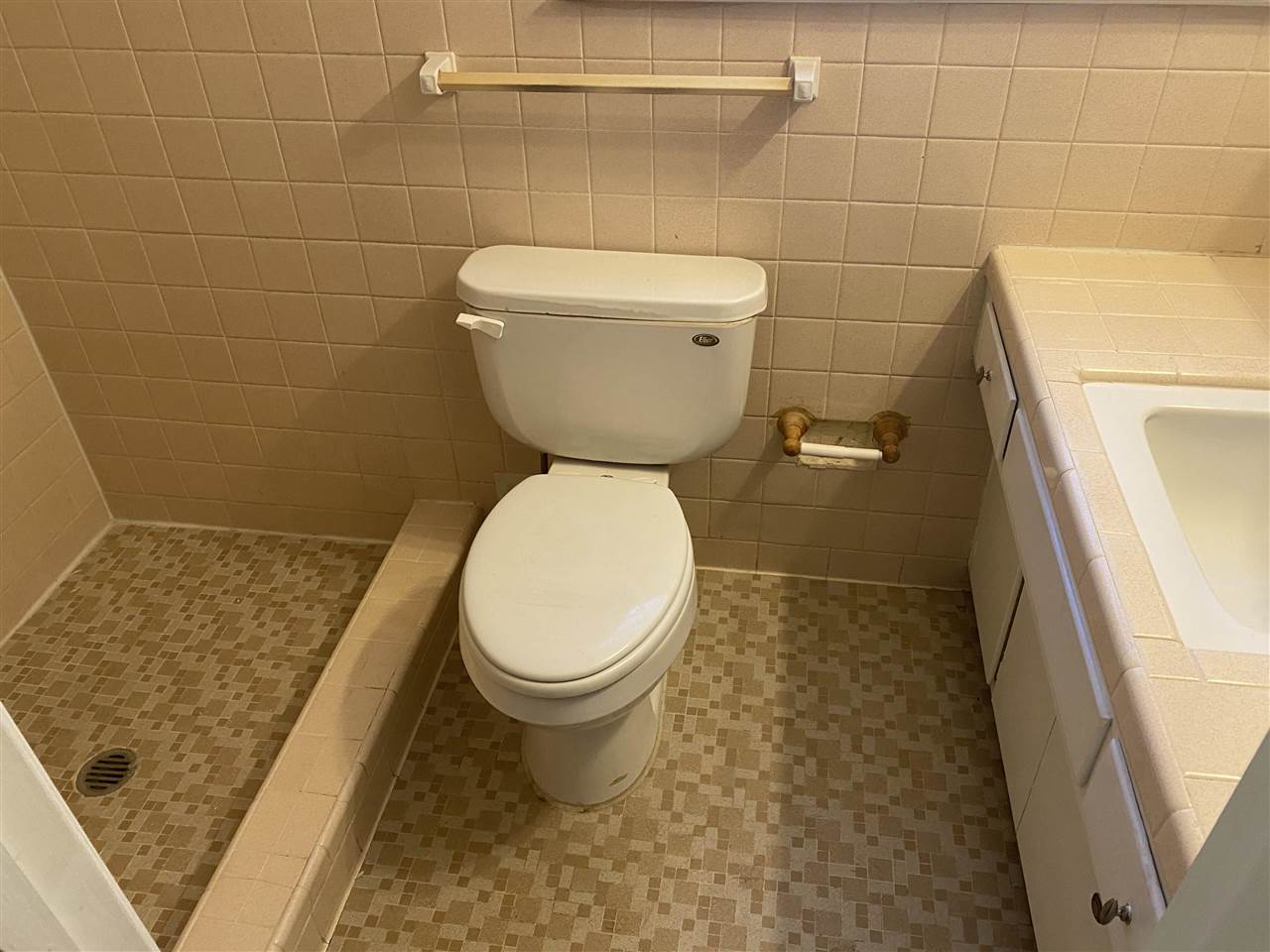 4066 Bishops Bridge Road Memphis, TN 38118 - Photo 15 of 19 a bathroom with a toilet