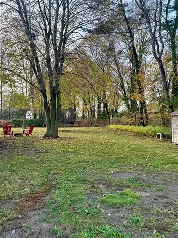 a view of a park with large trees