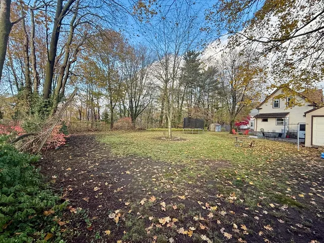 a view of yard with tree and green space