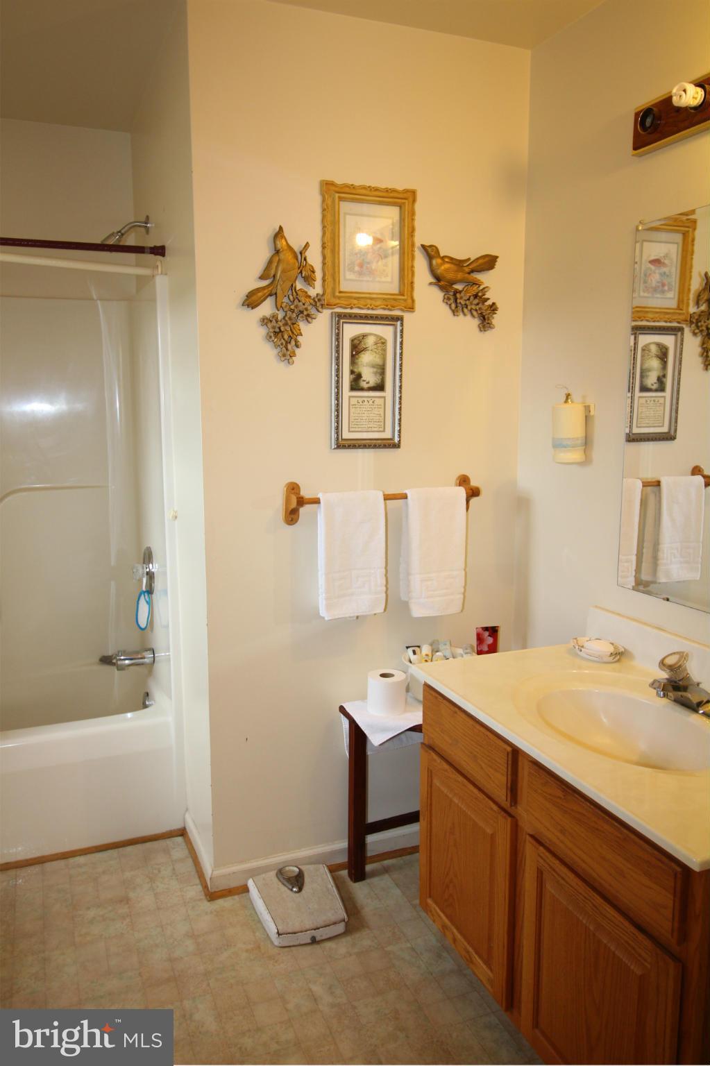 7459 Botha Road Bealeton, VA 22712 - Photo 22 of 30 Bath (Master)