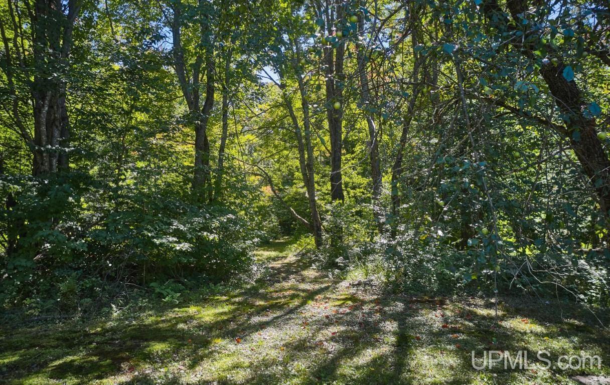 454 Creighton Trail Road Shingleton, MI 49884 - Photo 12 of 26