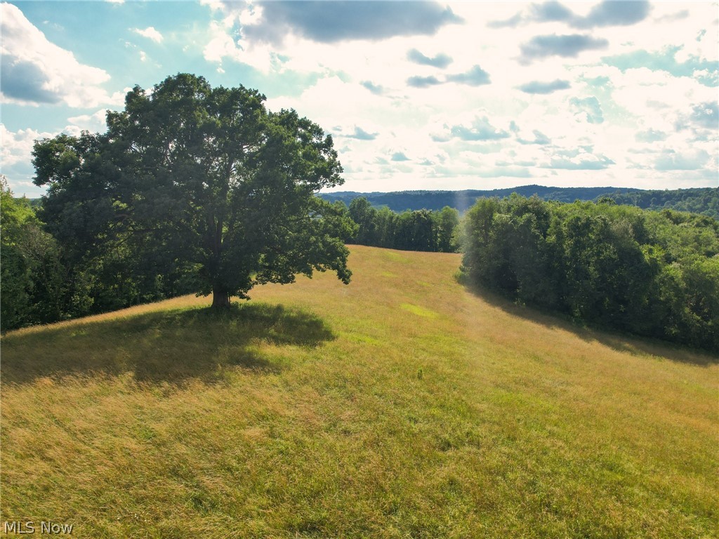 Wolf Road Newcomerstown, OH 43832 - Photo 12 of 35 Gallery Image 12