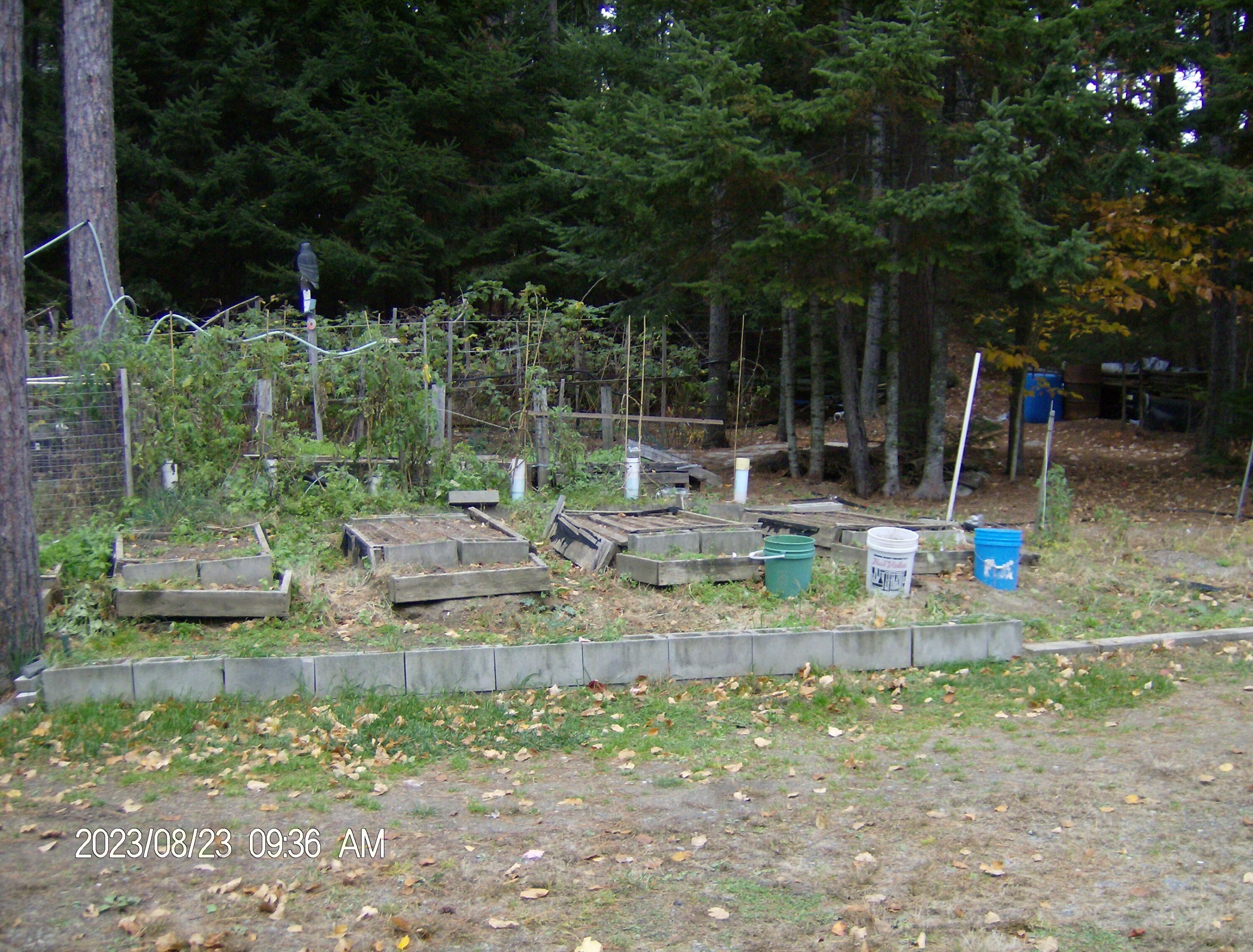 162 Hill Road Millinocket, ME 04462 - Photo 17 of 22 HPIM0687