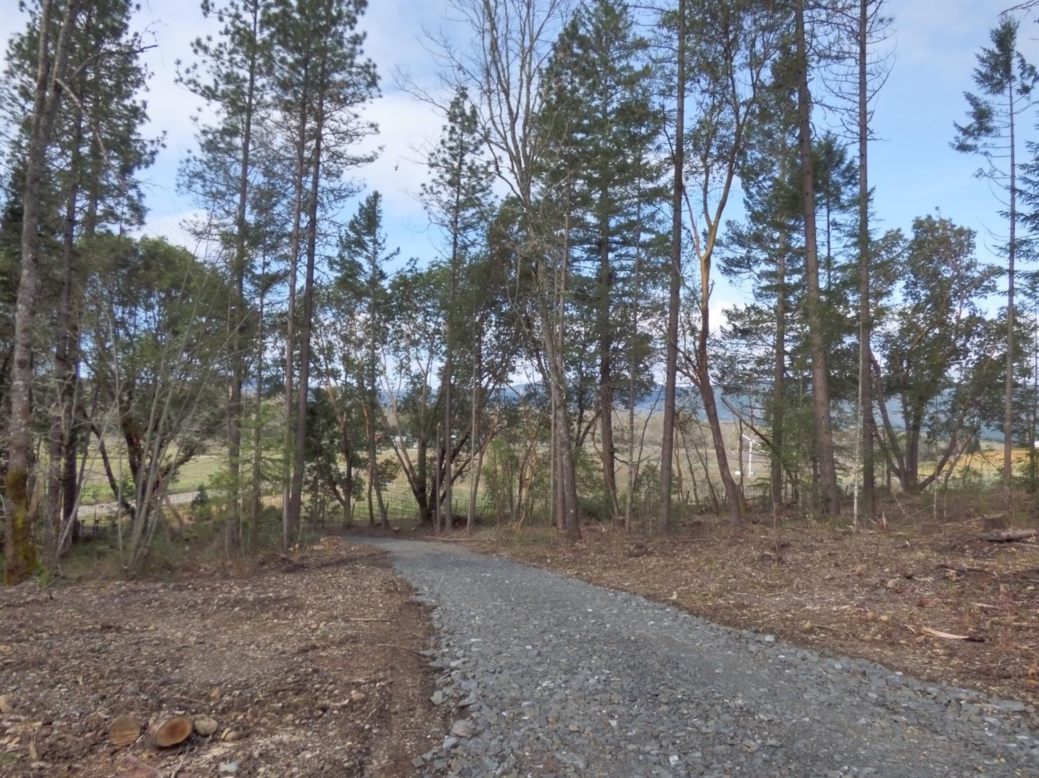 1080 Hays Cut Off Road Cave Junction, OR 97523 - Photo 4 of 13 a view of a forest with trees