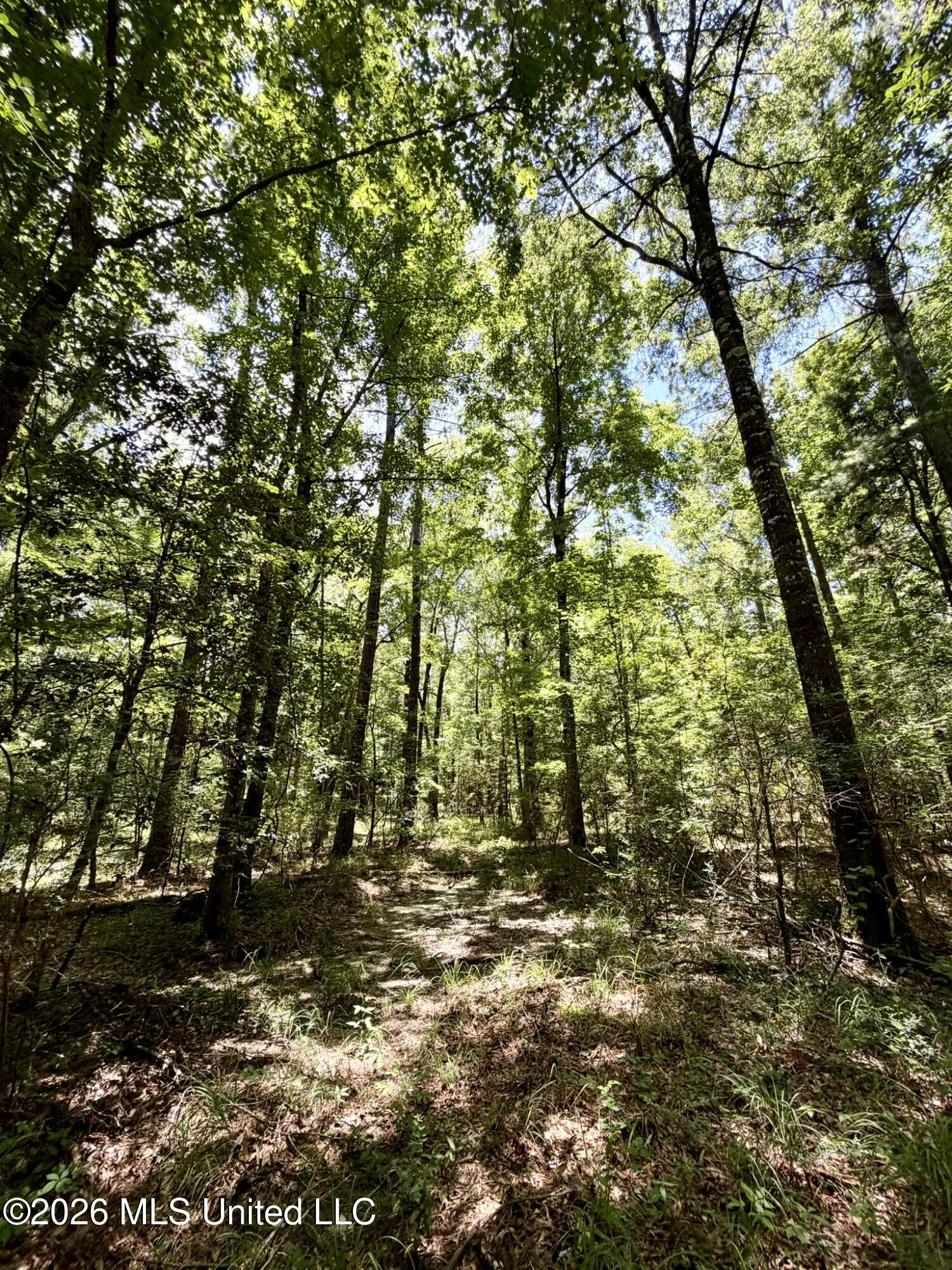2497 Linfrank Line Drive Southwest Smithdale, MS 39664 - Photo 10 of 14 IMG_0733