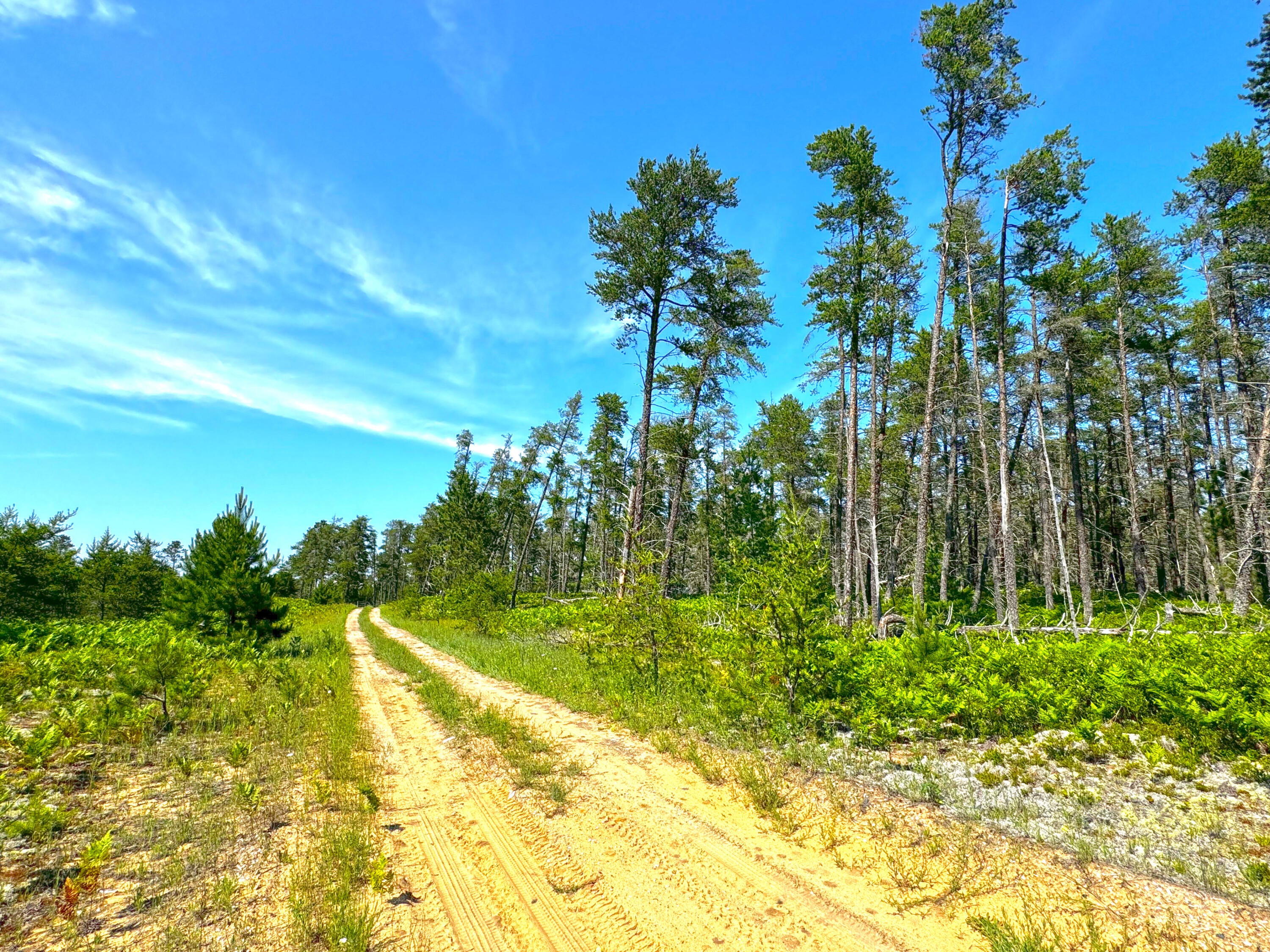 13907 North Whitefish Point Road Paradise, MI 49768 - Photo 12 of 15 Gallery Image 12