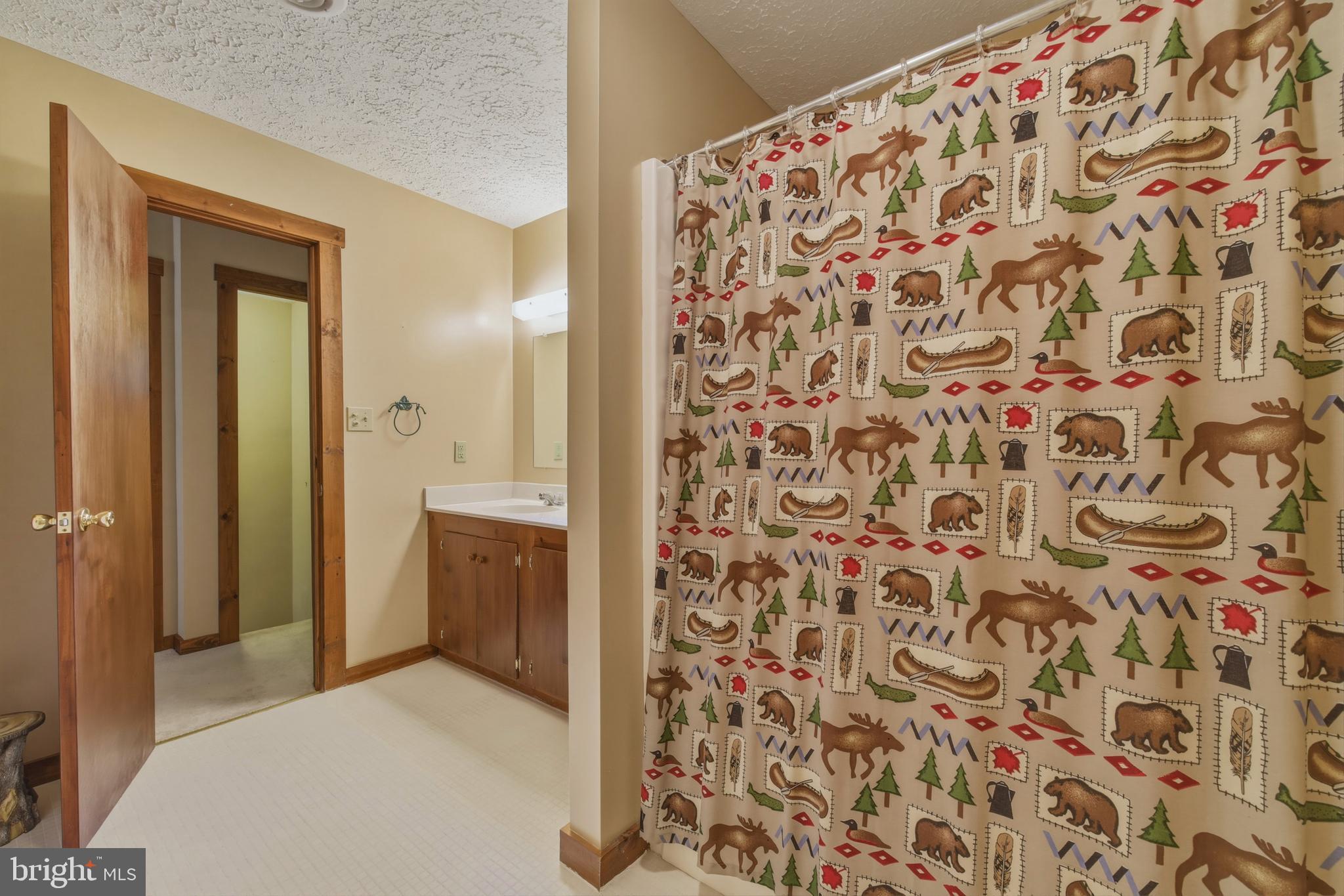 309 Locust Lane Mount Jackson, VA 22842 - Photo 36 of 57 Upper Level Primary Bath 1