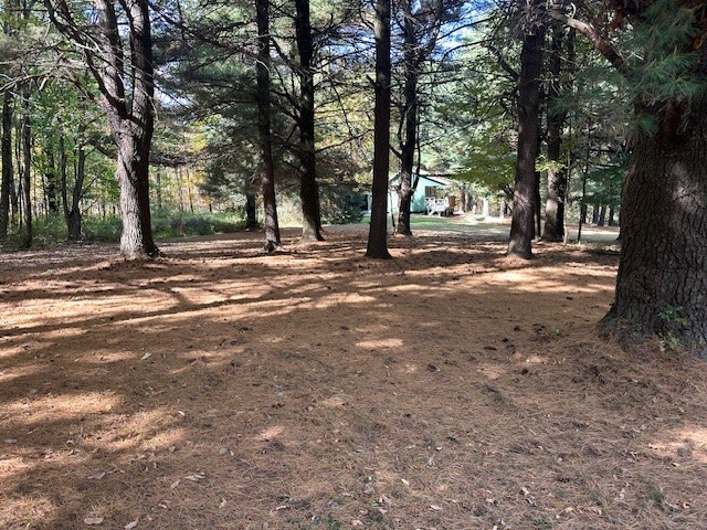 7820 Williams Road Naples, NY 14512 - Photo 23 of 31