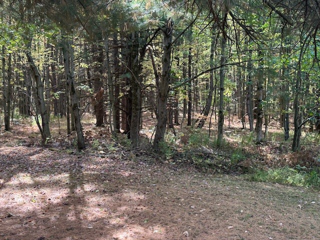 7820 Williams Road Naples, NY 14512 - Photo 25 of 31