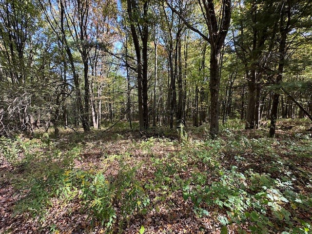 7820 Williams Road Naples, NY 14512 - Photo 27 of 31