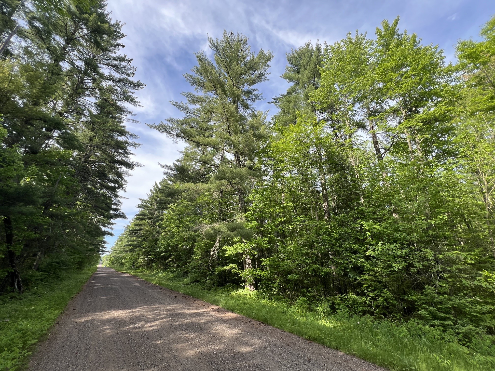 Tbd North Smith Road Couderay, WI 54828 - Photo 16 of 22