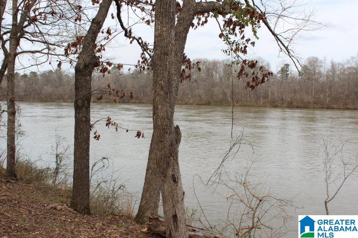 Liberty Shores Boulevard Vincent, AL 35178 - Photo 7 of 11