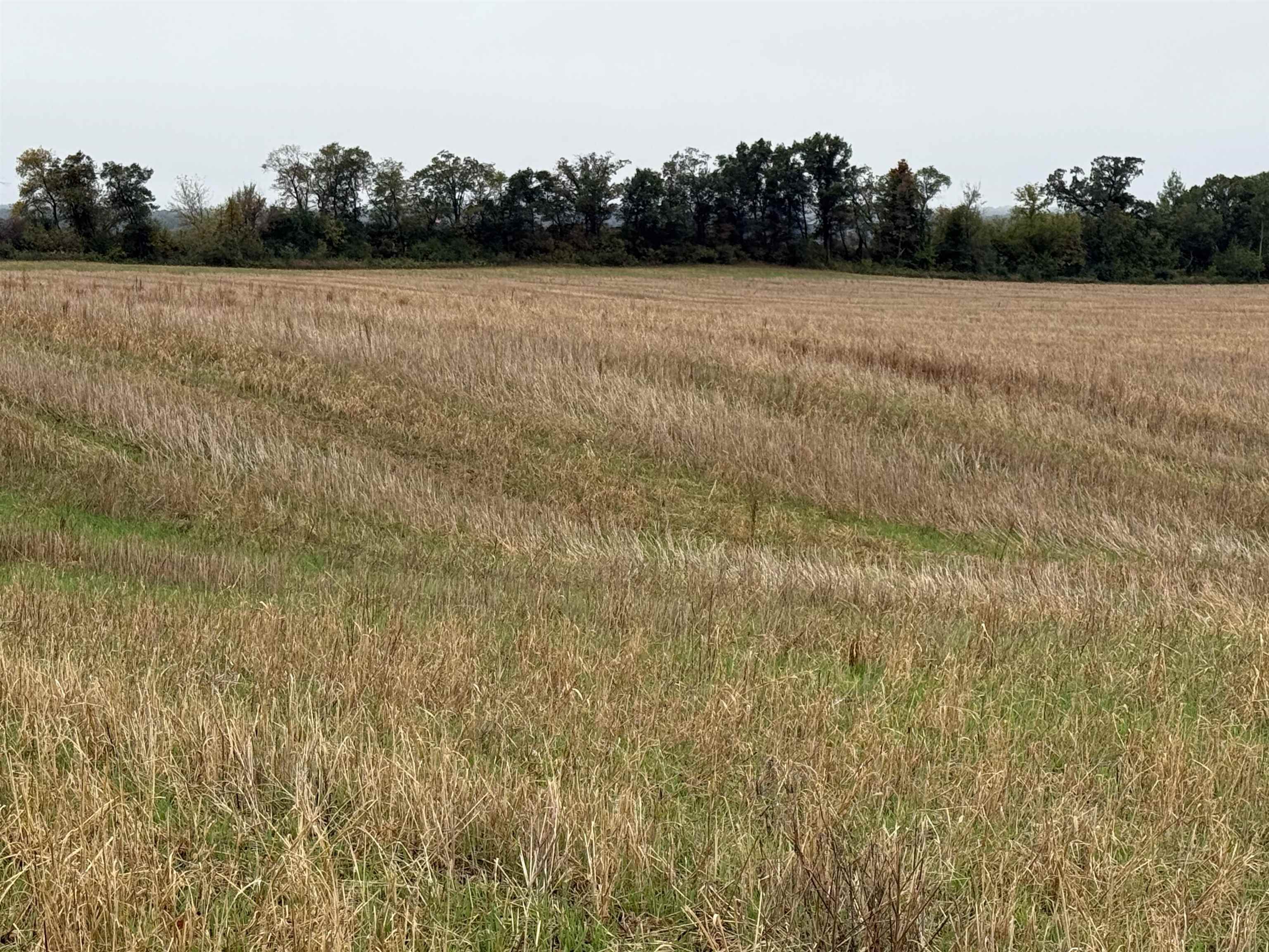 0 County Rd V, Unit CORNER OF CTY RD V AND B Amherst, WI 54406 - Photo 4 of 15