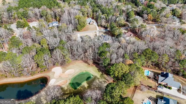 a view of a garden with plants and large trees