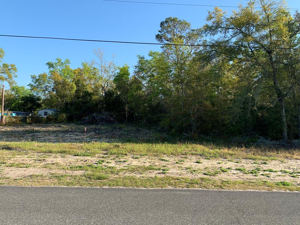 302 North 13th Street Carrabelle, FL 32322 - Photo 4 of 11