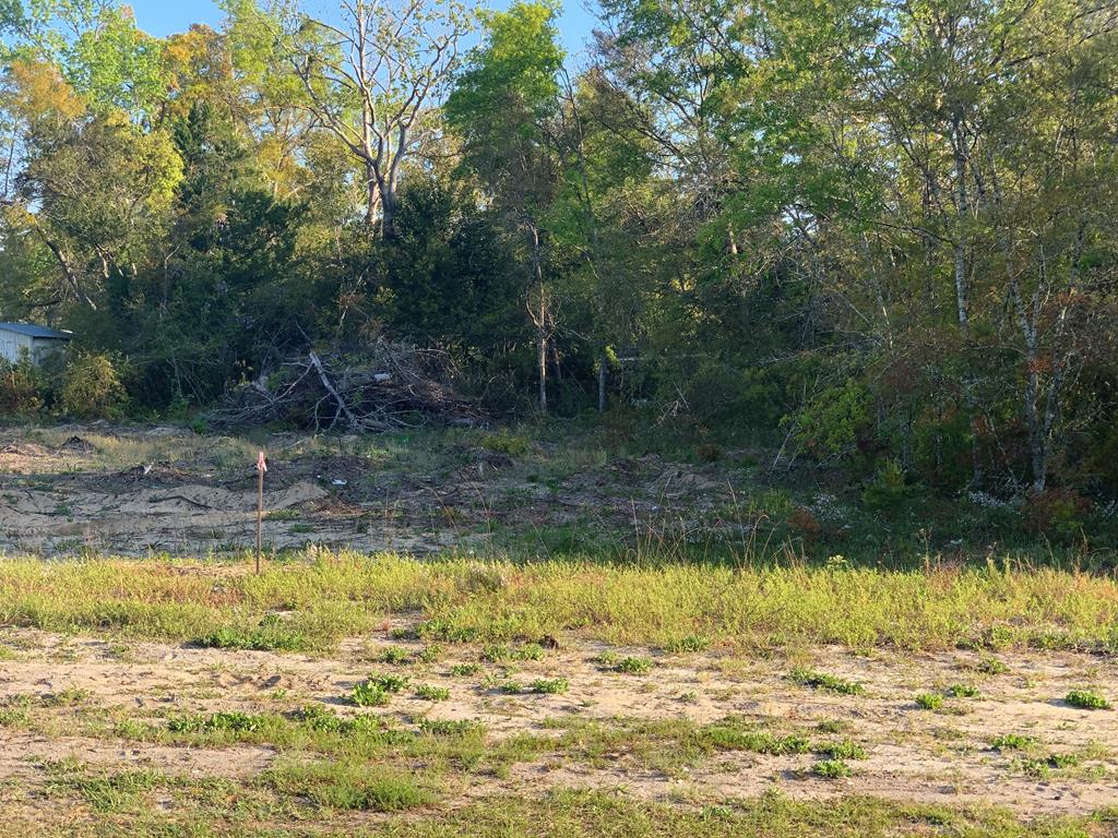302 North 13th Street Carrabelle, FL 32322 - Photo 5 of 11
