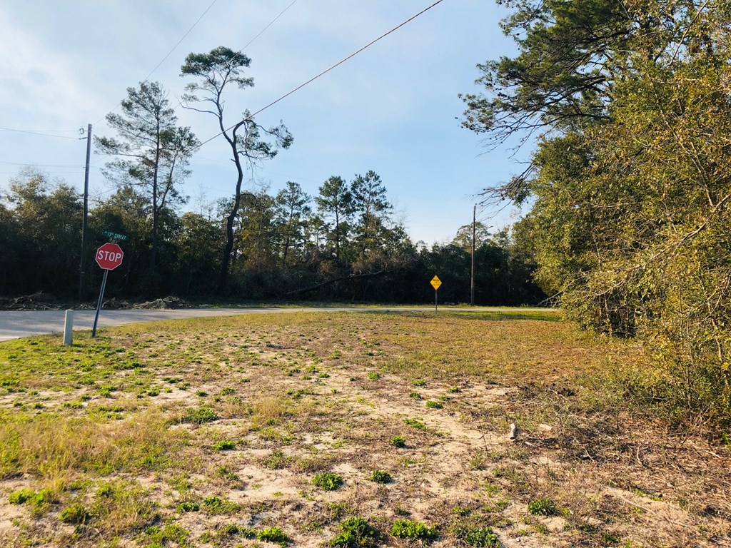 302 North 13th Street Carrabelle, FL 32322 - Photo 7 of 11