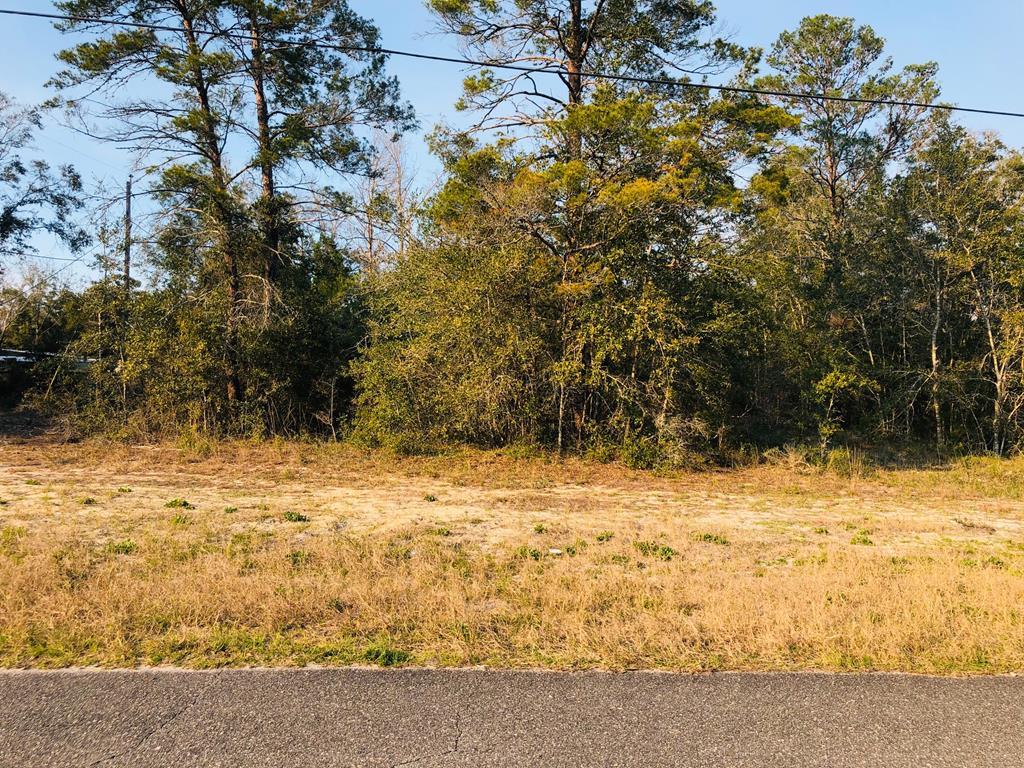 302 North 13th Street Carrabelle, FL 32322 - Photo 8 of 11