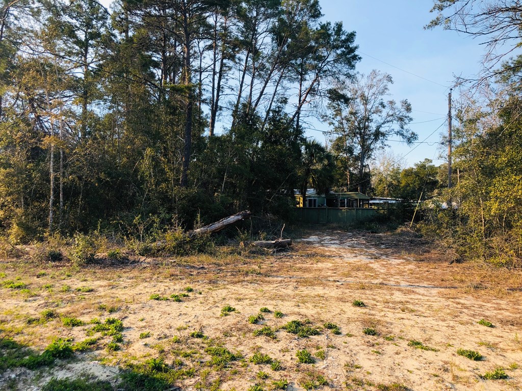 302 North 13th Street Carrabelle, FL 32322 - Photo 9 of 11
