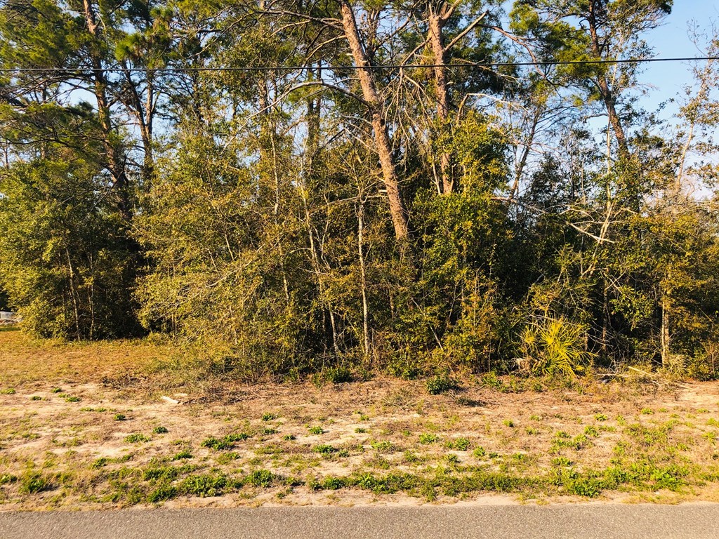 302 North 13th Street Carrabelle, FL 32322 - Photo 10 of 11