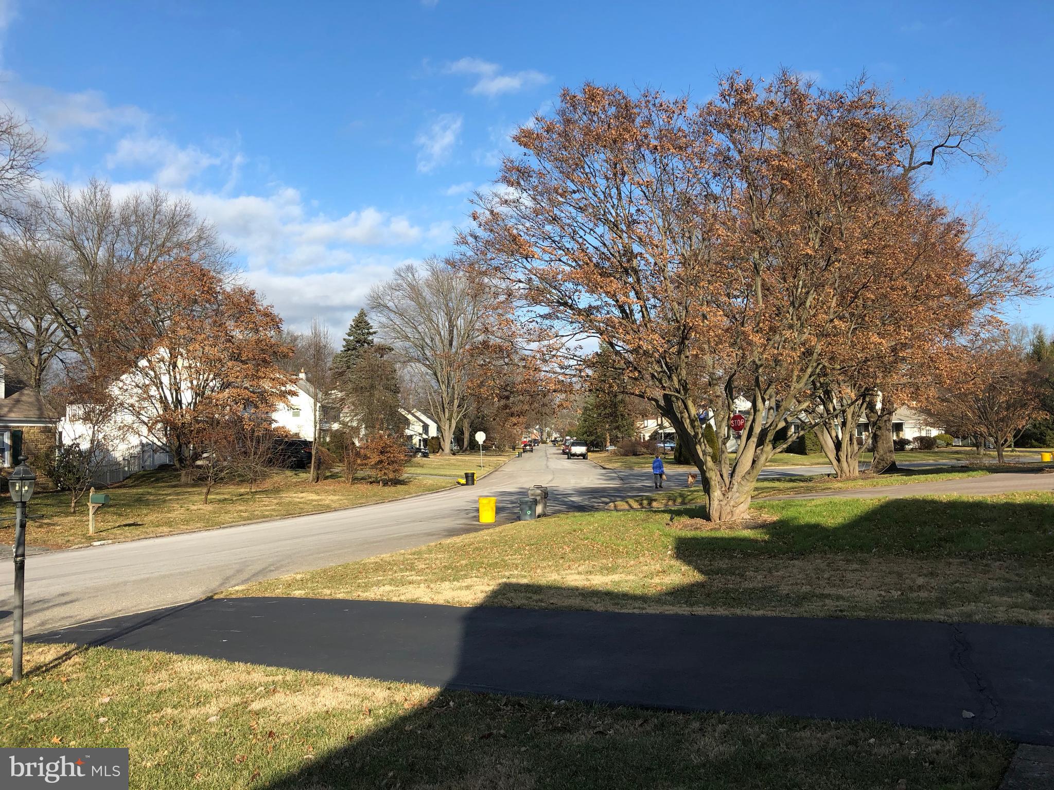 602 Burton Road Oreland, PA 19075 - Photo 4 of 47 Lovely view from front door