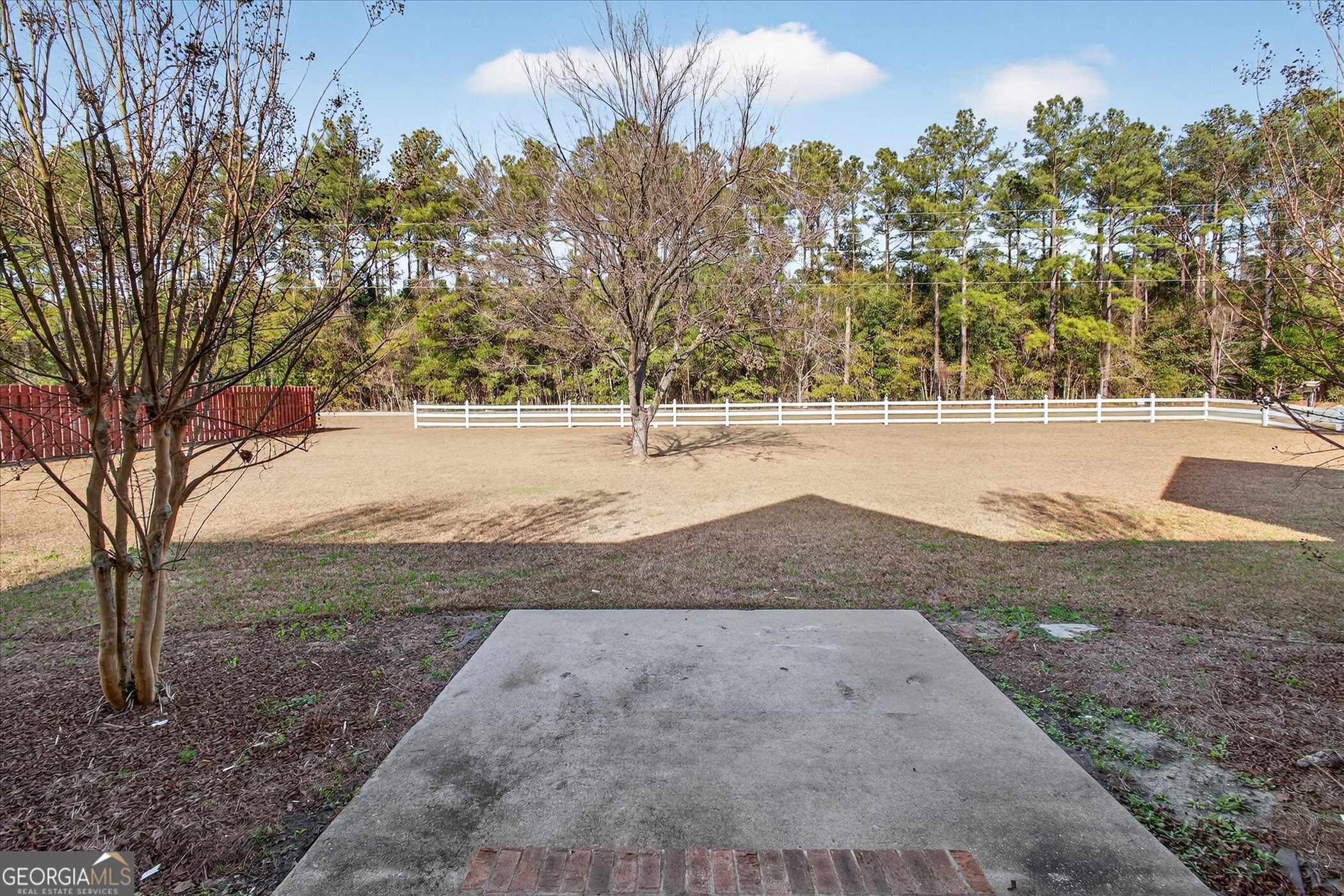 1600 Colony Lane Brooklet, GA 30415 - Photo 37 of 44 a view of dirt yard with a tree