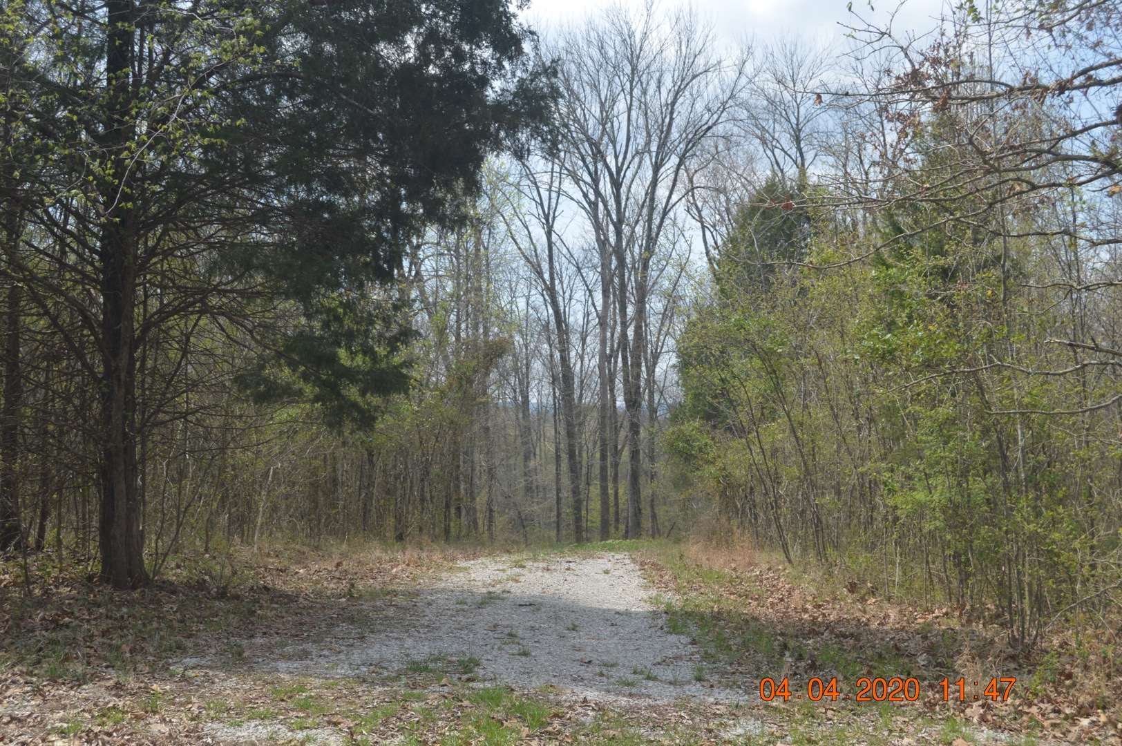Lot 5 Dexter Magnet Road Derby, IN 47525 - Photo 3 of 6 Gallery Image 3