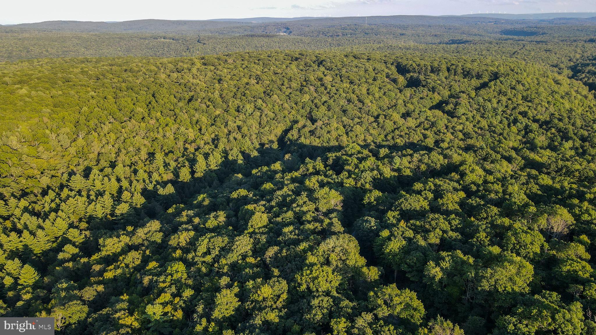 Lot 8 Stool Rock Road Oakland, MD 21550 - Photo 12 of 16 Gallery Image 12