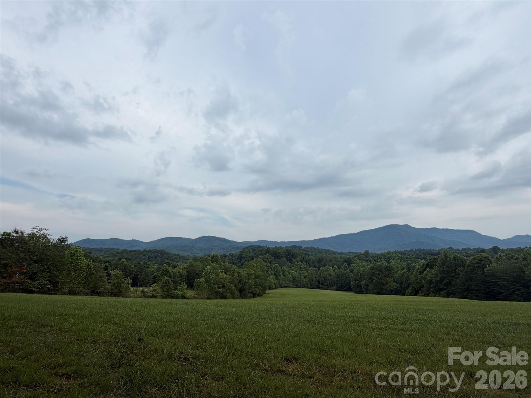 Lot 7 Parker Padgett Road Old Fort, NC 28762 - Photo 10 of 13