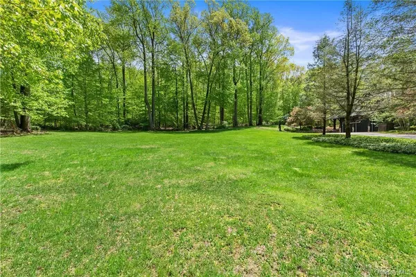 a view of a lush green space