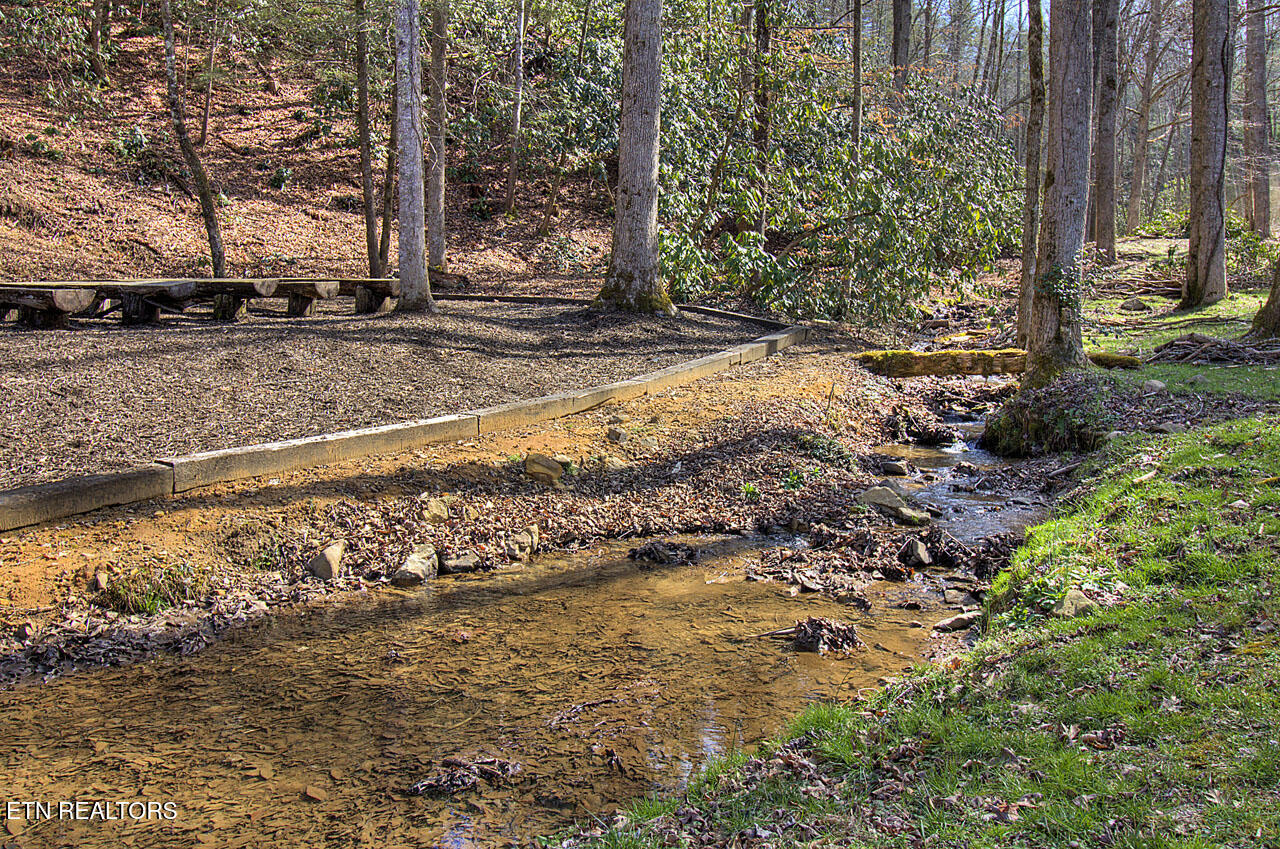 2000 East Millers Cove Road Walland, TN 37886 - Photo 14 of 60 Creek next to chapel