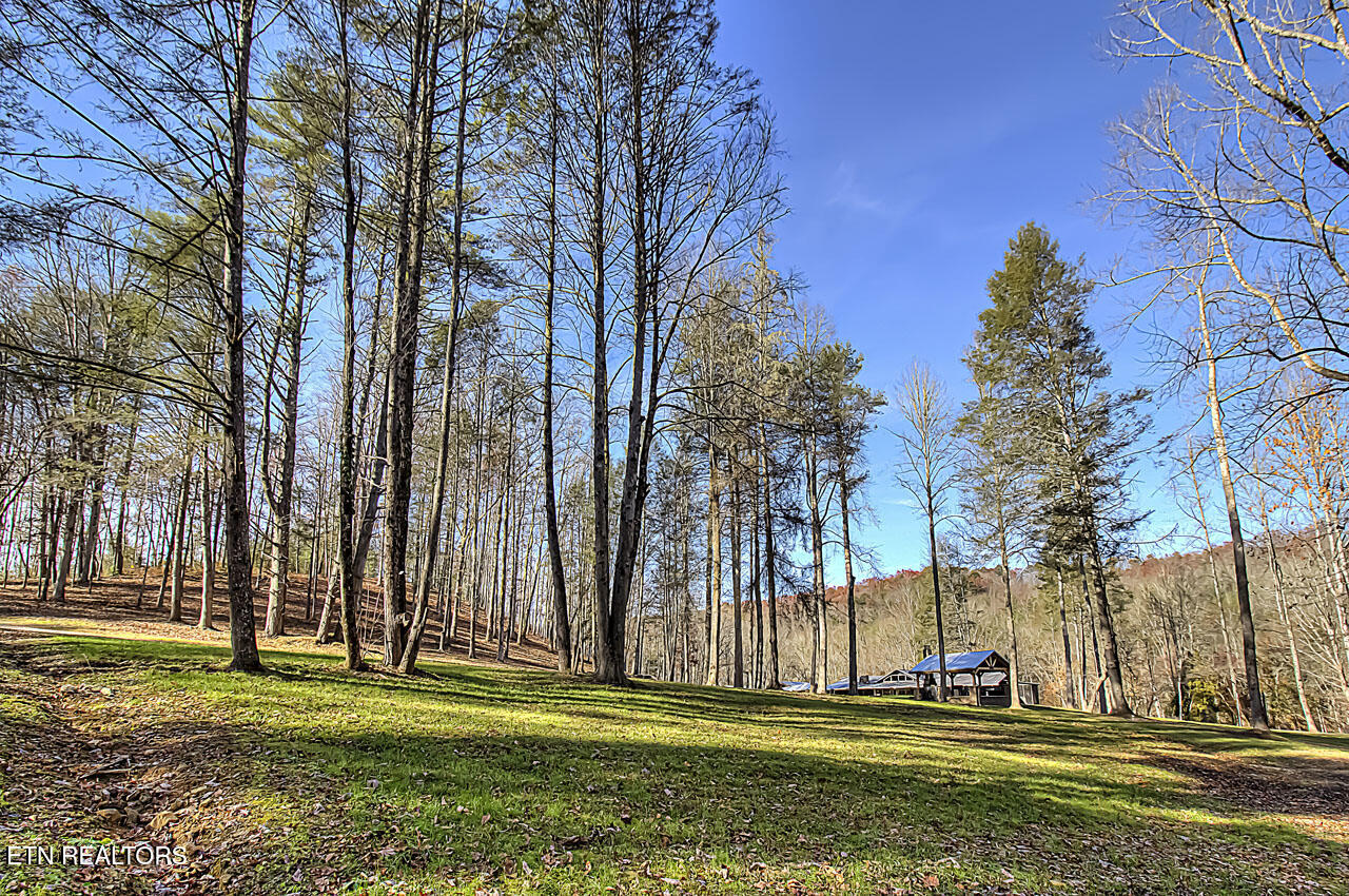 2000 East Millers Cove Road Walland, TN 37886 - Photo 32 of 60 Grounds at the lodge