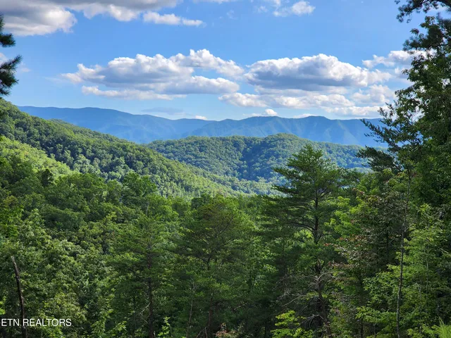 $11,050,000 | 2000 East Millers Cove Road, Walland, TN 37886