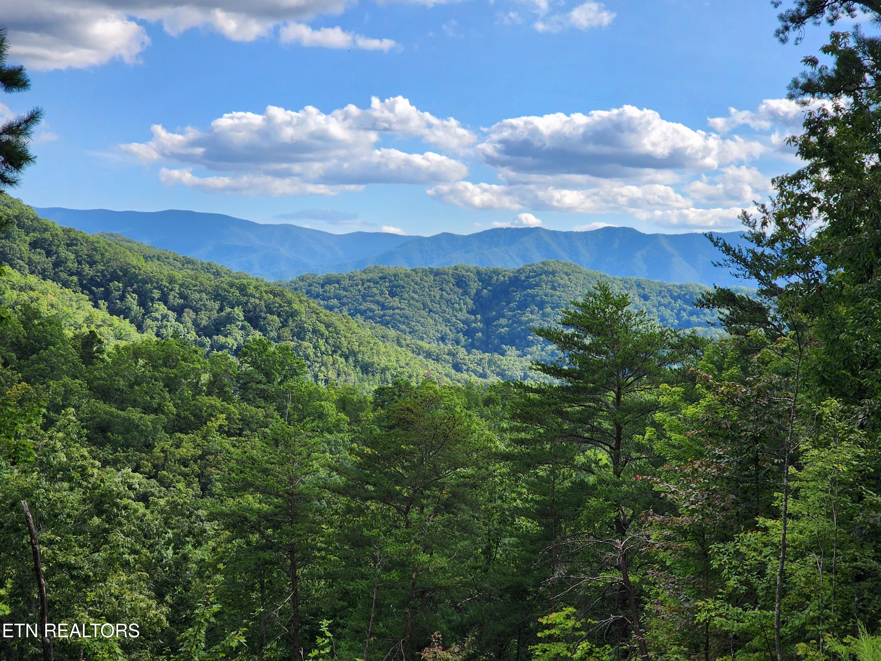 2000 East Millers Cove Road Walland, TN 37886 - Photo 4 of 60 Southwest Ridge View 08-25