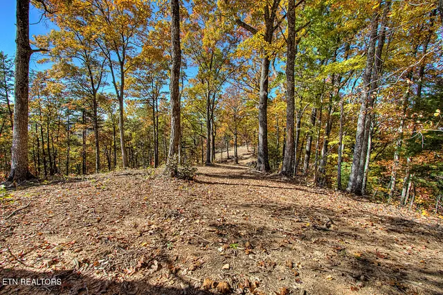 $11,050,000 | 2000 East Millers Cove Road, Walland, TN 37886