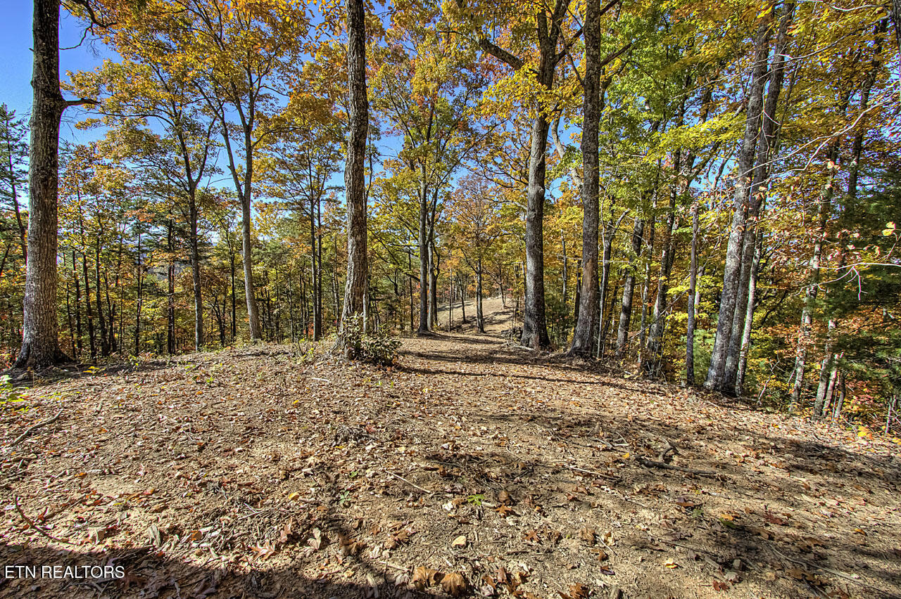 2000 East Millers Cove Road Walland, TN 37886 - Photo 42 of 60 Field 4