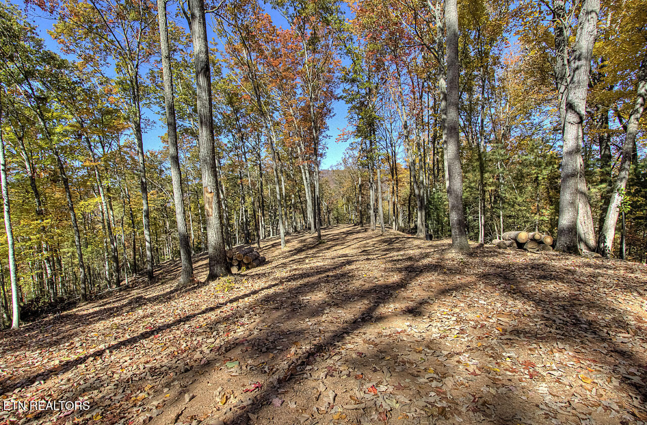2000 East Millers Cove Road Walland, TN 37886 - Photo 43 of 60 IMG_9460LR