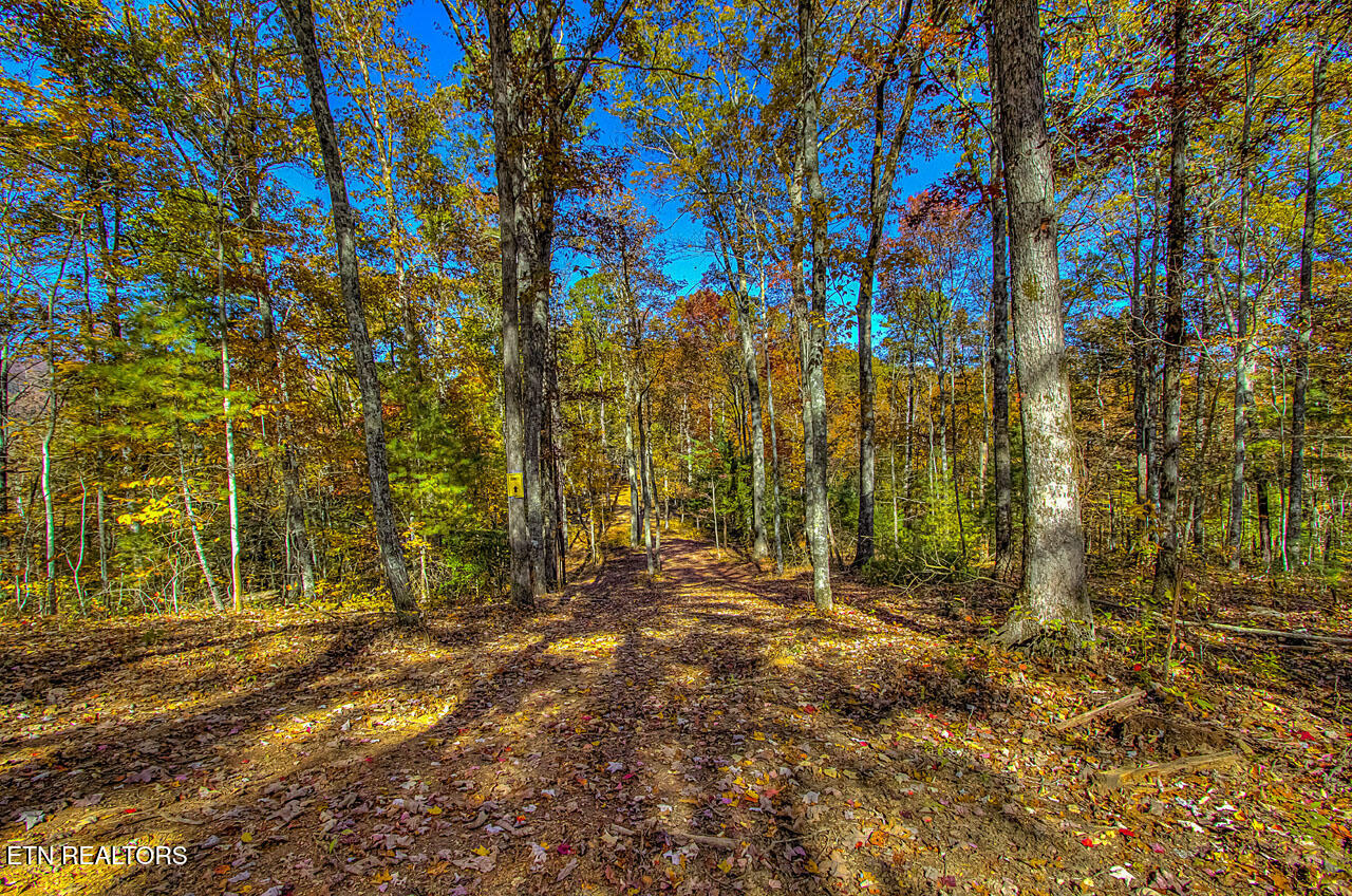 2000 East Millers Cove Road Walland, TN 37886 - Photo 45 of 60 IMG_9574LR