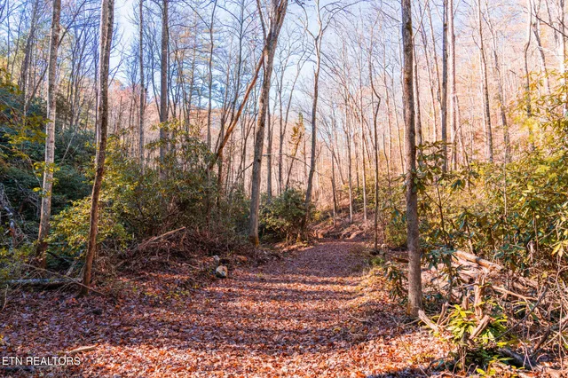 $11,050,000 | 2000 East Millers Cove Road, Walland, TN 37886