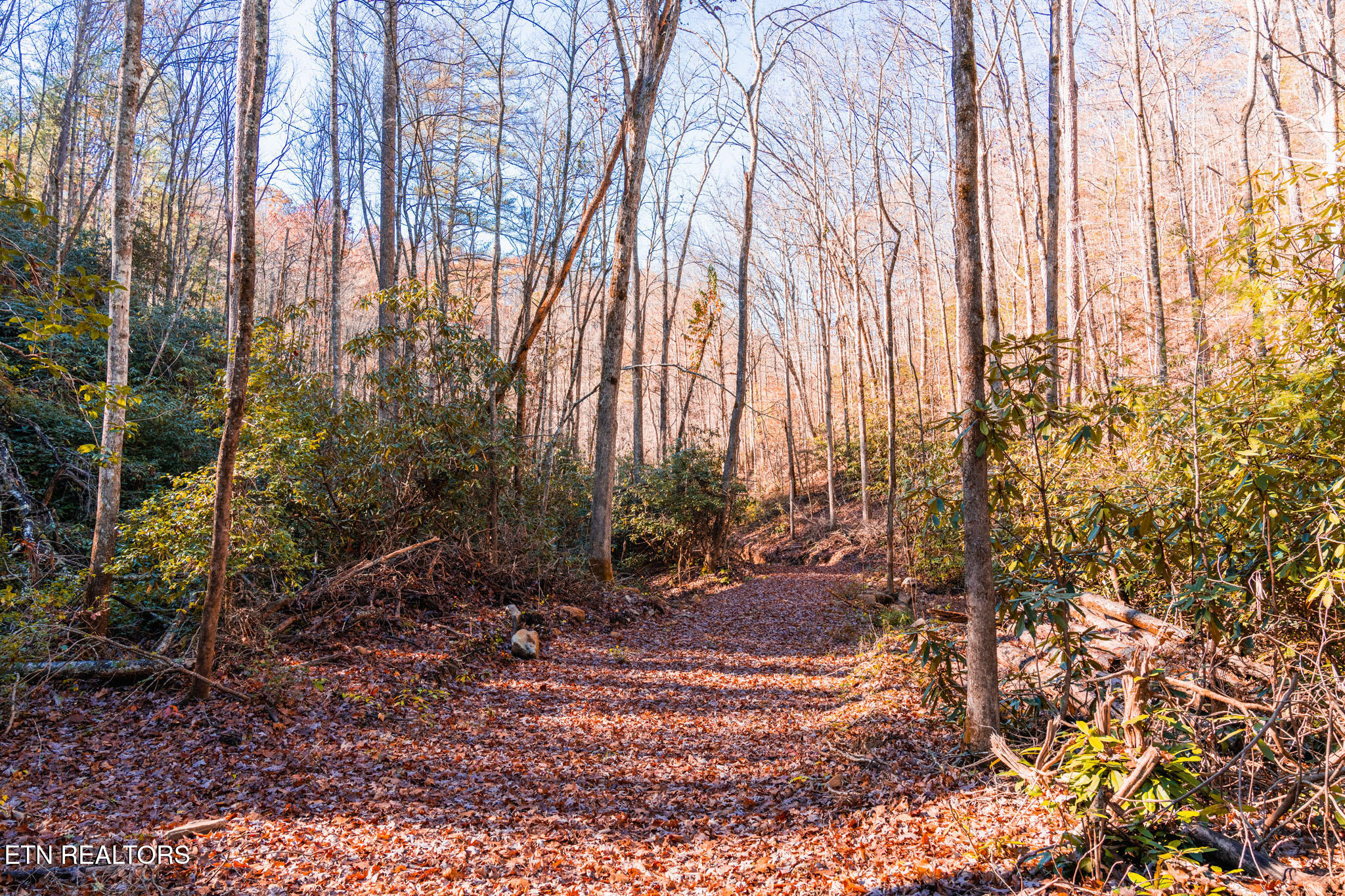 2000 East Millers Cove Road Walland, TN 37886 - Photo 46 of 60 Many miles of jeep trails