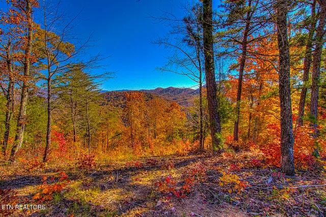 $11,050,000 | 2000 East Millers Cove Road, Walland, TN 37886