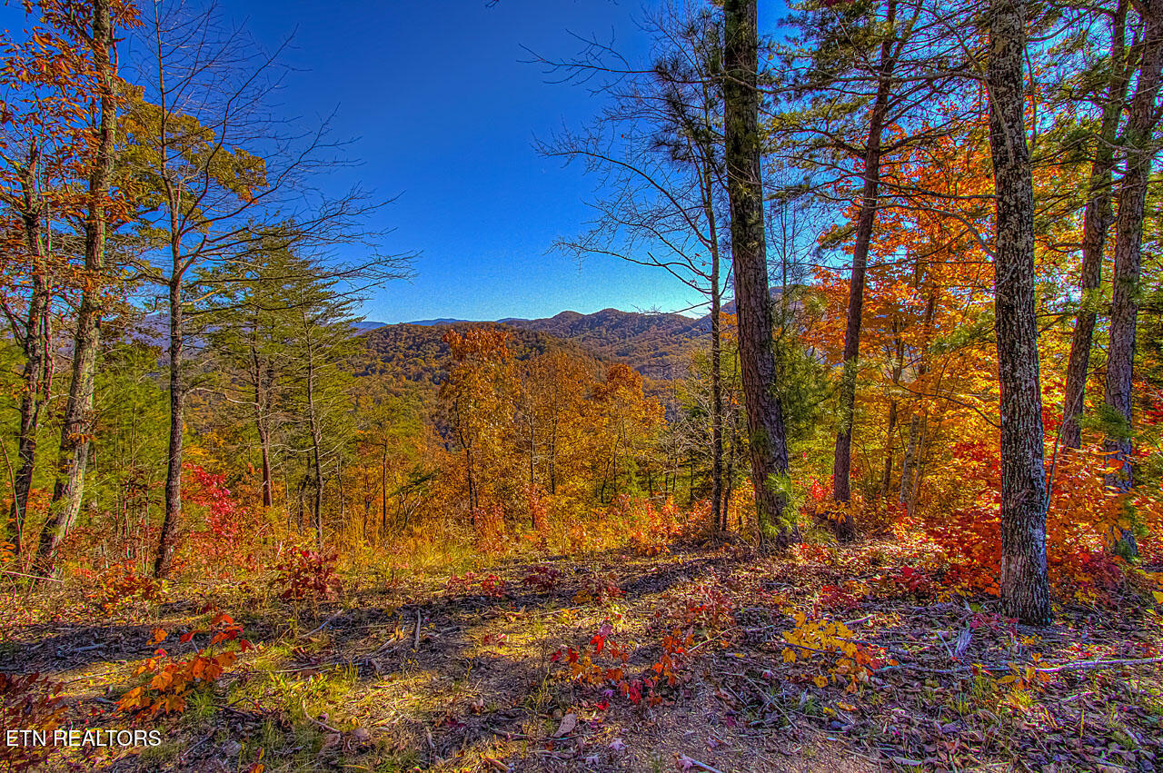 2000 East Millers Cove Road Walland, TN 37886 - Photo 48 of 60 SWest Ridge